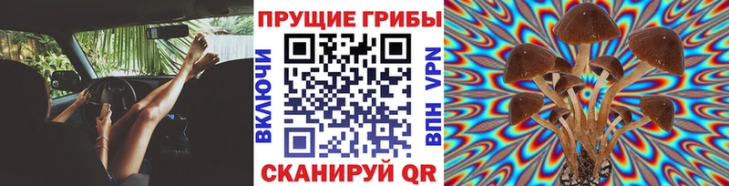 магазин  наркотиков  omg как зайти  Псилоцибиновые грибы Magic Shrooms  Ялуторовск 